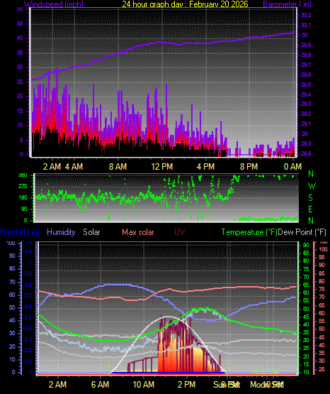 24 Hour Graph for Day 20
