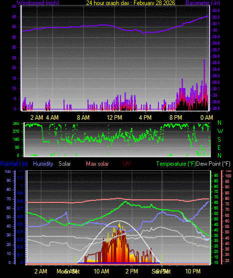 24 Hour Graph for Day 28