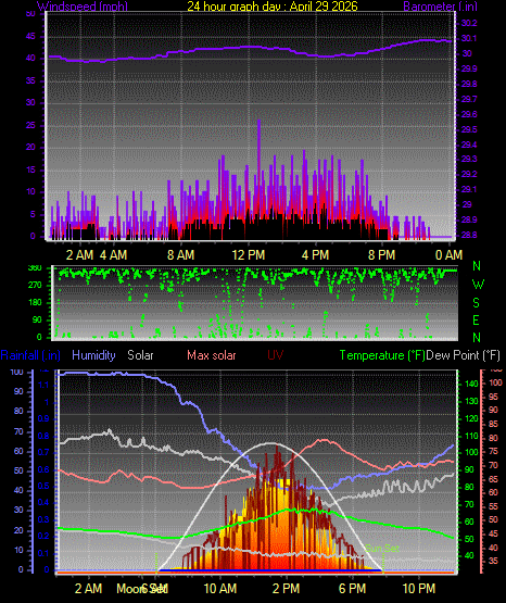 24 Hour Graph for Day 29