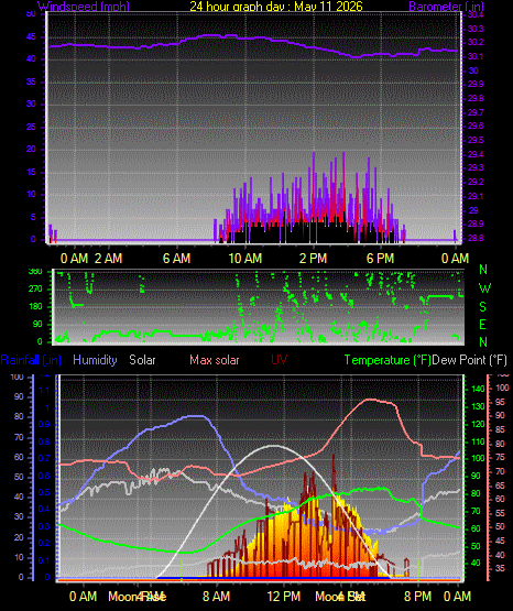24 Hour Graph for Day 11