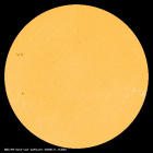 SDO/HMI Continuum Image of the Sun
